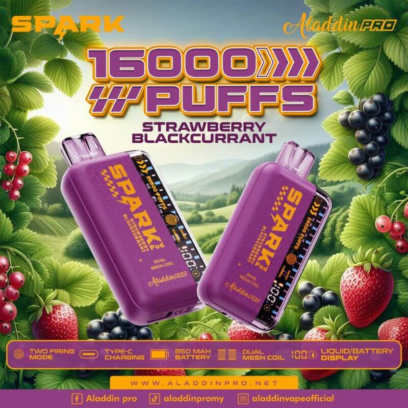 ALADDIN-SPARK-16K-STRAWBERRY-BLACKCURRANT-SG-Vape-Party