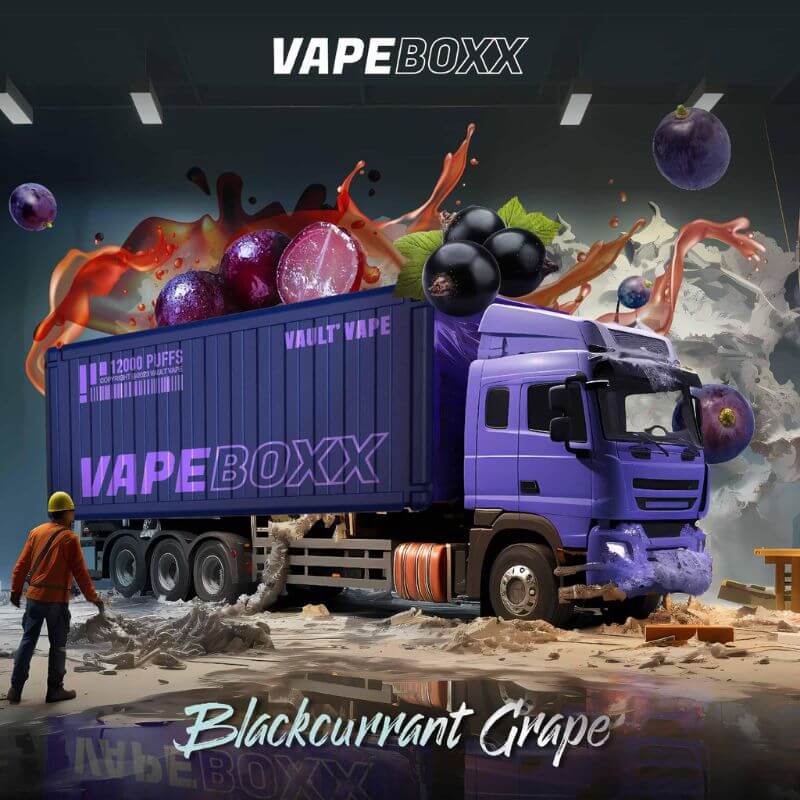 VAPEBOXX-12000-BLACKCURRANT-GRAPE-SG-Vape-Party